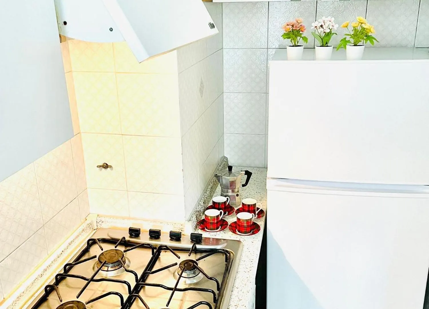 Holiday Homes Rome - Monte Verde 61 - Near Trastevere 0*,